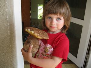 Klikni pro velký obrázek