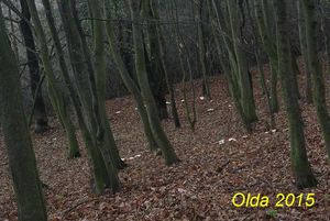 Klikni pro velký obrázek