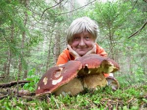 Klikni pro velký obrázek