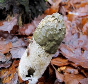 Klikni pro velký obrázek