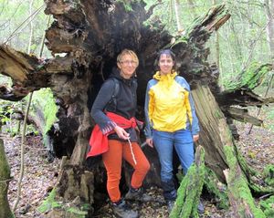 Klikni pro velký obrázek