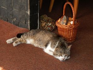 Klikni pro velký obrázek