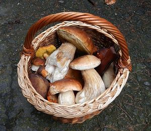 Klikni pro velký obrázek