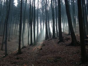 Klikni pro velký obrázek