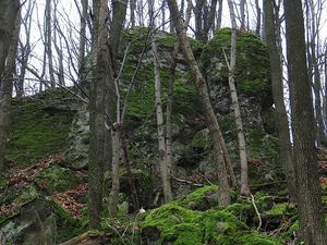 Klikni pro velký obrázek