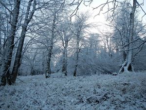 Klikni pro velký obrázek