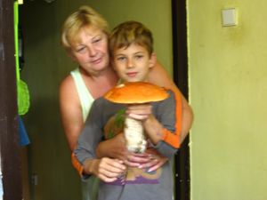 Klikni pro velký obrázek