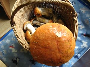 Klikni pro velký obrázek