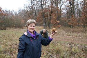 Klikni pro velký obrázek