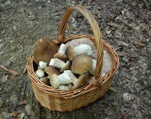 Klikni pro velký obrázek