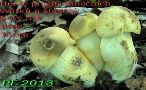 Klikni pro velký obrázek