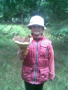 Klikni pro velký obrázek