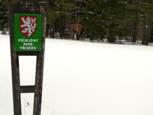 Klikni pro velký obrázek