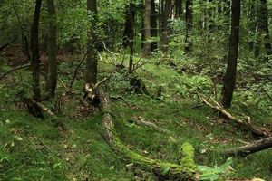 Klikni pro velký obrázek