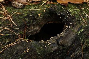 Klikni pro velký obrázek