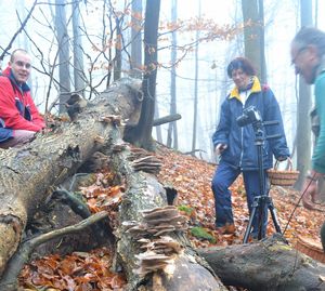 Klikni pro velký obrázek