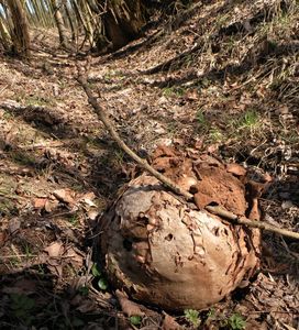 Klikni pro velký obrázek