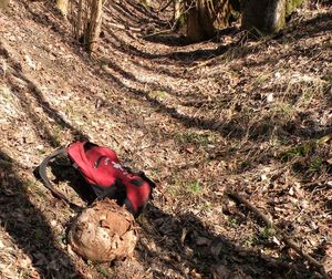 Klikni pro velký obrázek