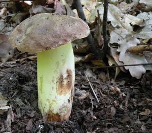 Klikni pro velký obrázek