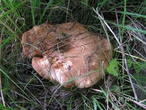 Klikni pro velký obrázek