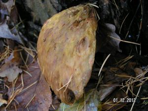 Klikni pro velký obrázek