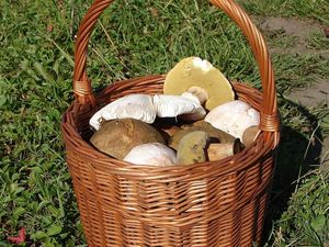 Klikni pro velký obrázek