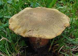 Klikni pro velký obrázek