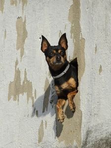 Klikni pro velký obrázek