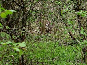 Klikni pro velký obrázek