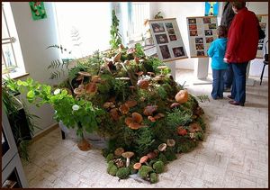 Klikni pro velký obrázek