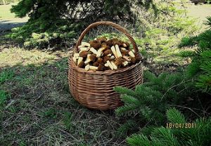 Klikni pro velký obrázek