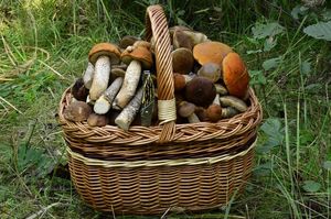 Klikni pro velký obrázek