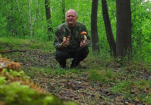 Klikni pro velký obrázek