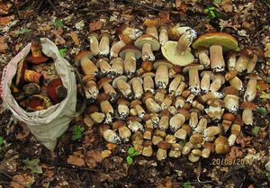 Klikni pro velký obrázek