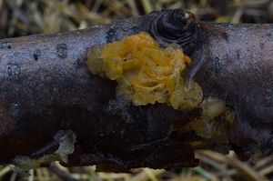 Klikni pro velký obrázek