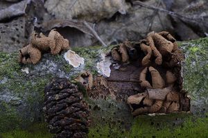 Klikni pro velký obrázek