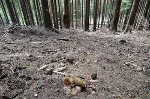 Klikni pro velký obrázek