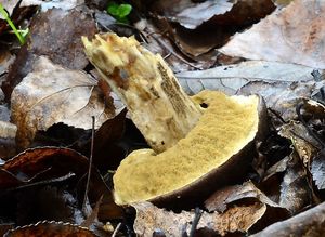 Klikni pro velký obrázek