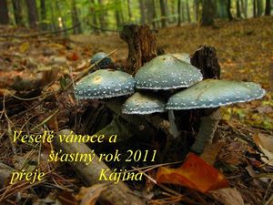 Klikni pro velký obrázek