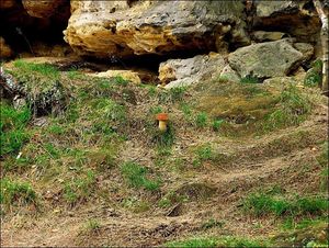 Klikni pro velký obrázek