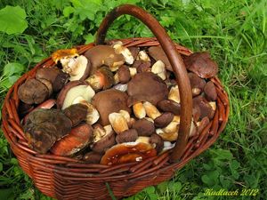 Klikni pro velký obrázek