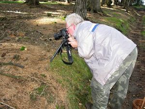 Klikni pro velký obrázek