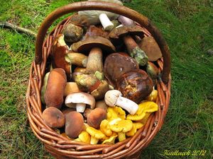 Klikni pro velký obrázek