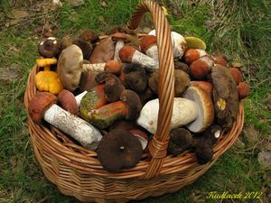 Klikni pro velký obrázek