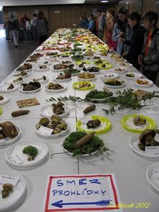 Klikni pro velký obrázek