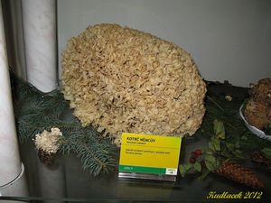 Klikni pro velký obrázek