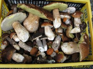 Klikni pro velký obrázek