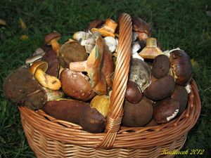 Klikni pro velký obrázek