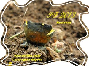 Klikni pro velký obrázek