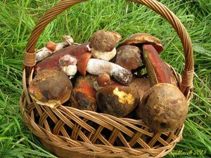 Klikni pro velký obrázek